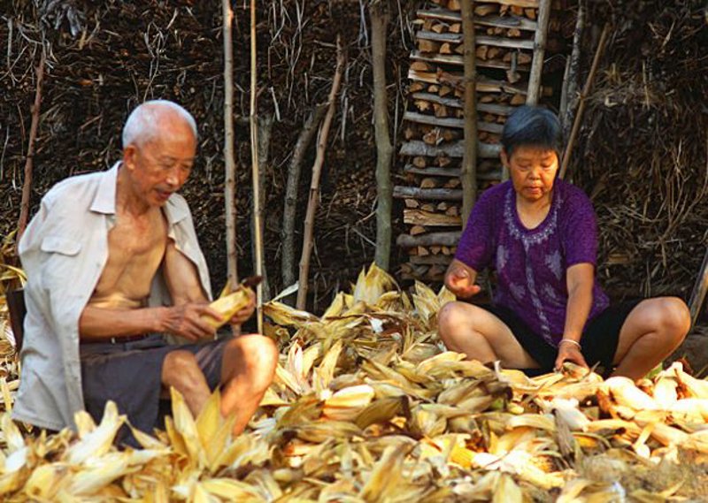 如何高效地组织和打包您的物品？居民搬家是一个让人头疼的过程，但通过合理规划可以大大减轻负担。